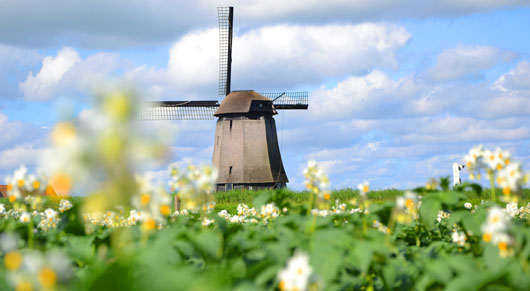 photo_windmill